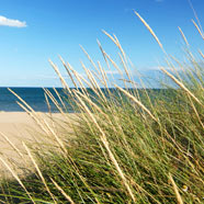 Panama City Beach Photo